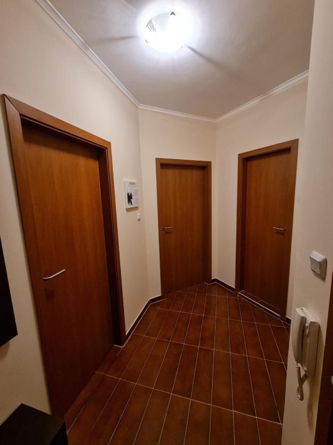 Bansko Vibes Apartments - Flora Boutique المظهر الخارجي الصورة